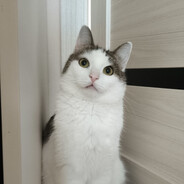 Костя Колбасенко