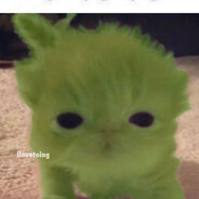 randomguytalkintuah12