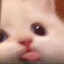 bleh ☆