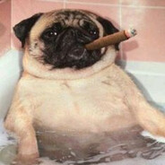 FaEr_2409 Steam avatar