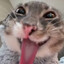where4reyo's avatar