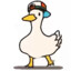 Ducks