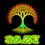 Bonzai