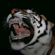 -Hararu - steam id 76561199203119178