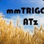 mmTRIGO