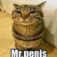 MR PENIS
