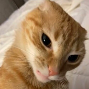 The End - steam id 76561198130389021