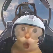 王牌飞行员耄耋申请出