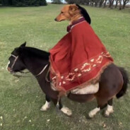 🥷 RRS 🥷 48kg kid