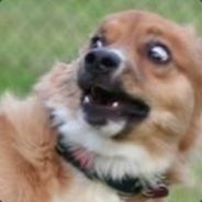lithiux - steam id 76561197965839983