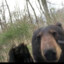 SHER
