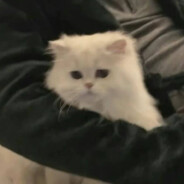 忘记那片海了吗