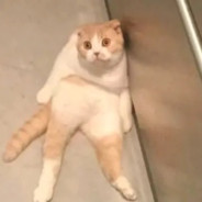 听一万遍虚拟恋人