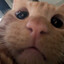 adiriv03's avatar