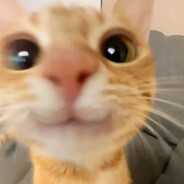 (っ◔◡◔)っ ♥