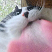 让你平静的心再起涟漪