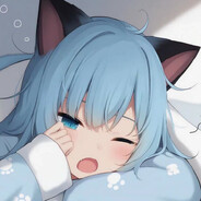 一只呆萌的猫羽雫