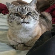 Big Avatar