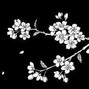 樱花 avatar