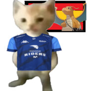 El panita Miguel Steam avatar