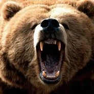 ツWinnerBear avatar
