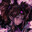 Scary Stories's Avatar