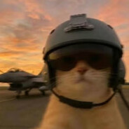 Jedli - steam id 76561198113801929