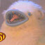Avatar of ChooseGoose™