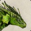 thatgreendragon