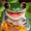 Rana
