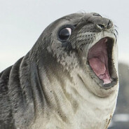 Скверномолоко