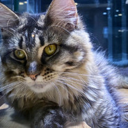 倒得快死的快退得快