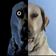 为什么不玩原神？