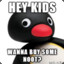 Noot Noot