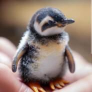 ПиНгВиНчИк