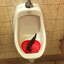 Poo Bandit 2016