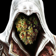 Assassin's Weed