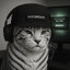 TigerCats.glvz