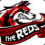 The_REDS