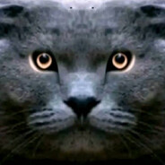 𝕽𝖊𝖙𝖚𝕭𝖚𝖘