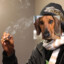 ✪Dogg Snoop