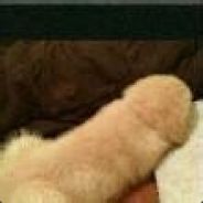 大饼卷煎饼果子