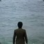 夏威夷的春丶