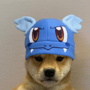 ⓌⓐⓡⓉ⓪ⓡⓣⓛⓔ