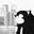 ITYCTOTA.ソニック