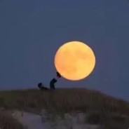 无法拒绝小可爱