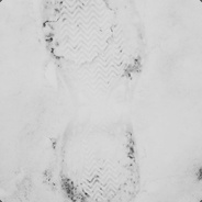 怎么谁都欺负我呀