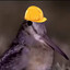 Tracy_77