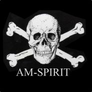 AM-Spirit - steam id 76561197971046017