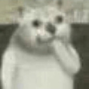 嘻嘻嘻嘻嘻小狗